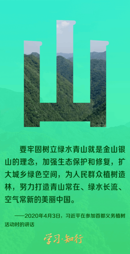 和谐共生丨八个字里的生态密码