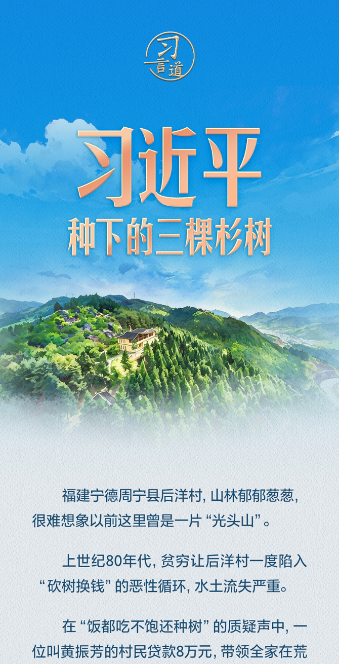 习言道｜习近平种下的三棵杉树