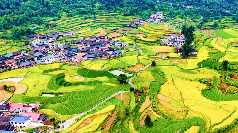 瑶乡梯田入画来