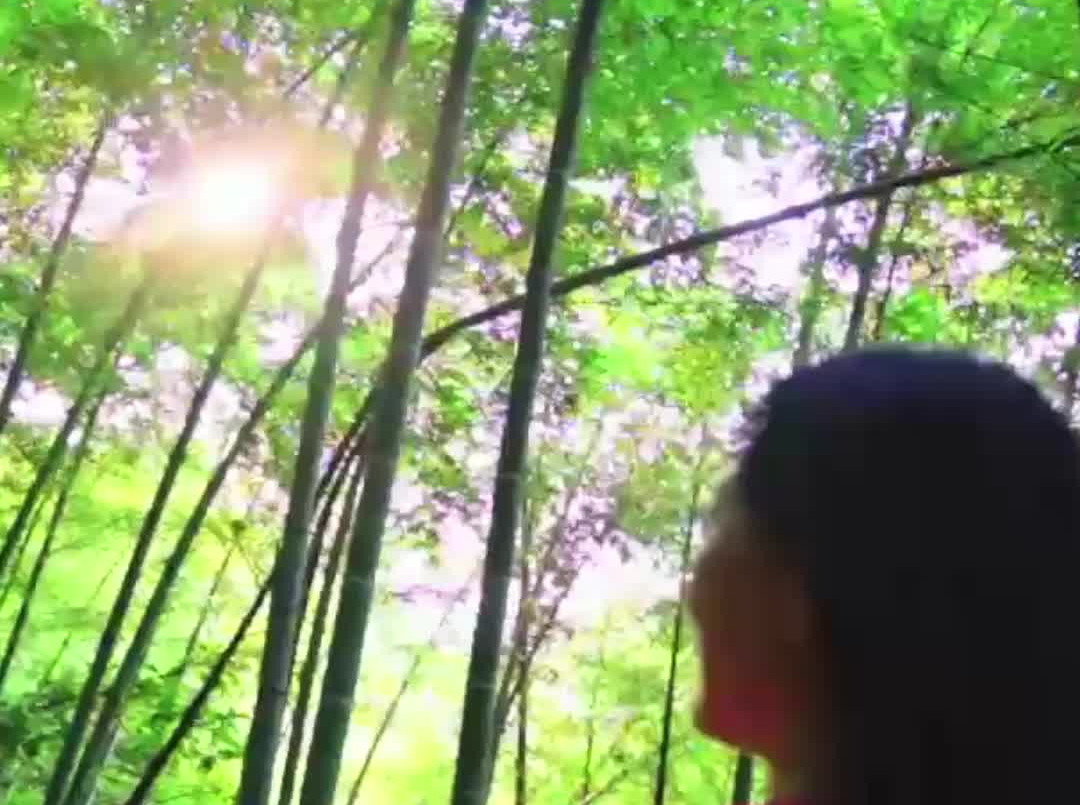 视频｜益阳小郁竹编，掌心之间的线条美学