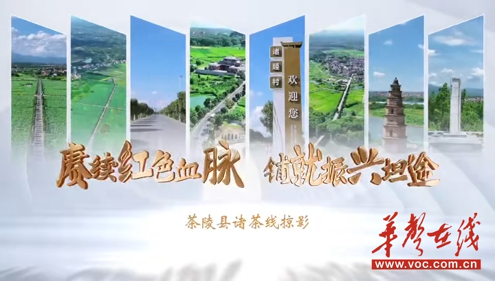 视频｜路景相融惠民生 茶陵诸茶线激活乡村发展动能