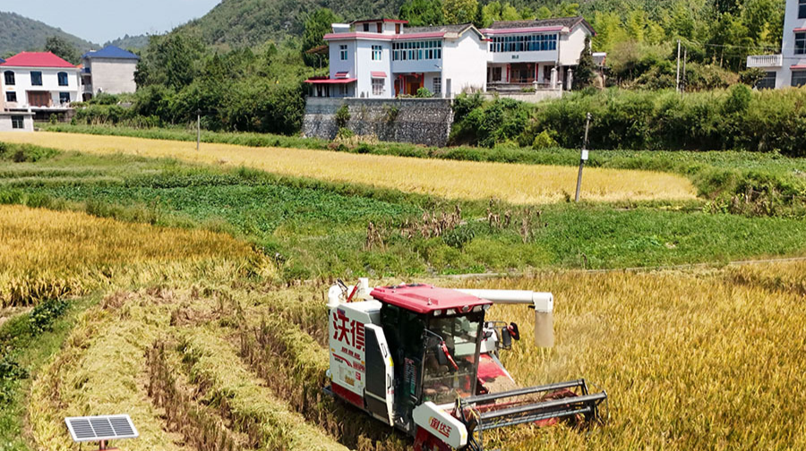 多措并举守护粮食安全