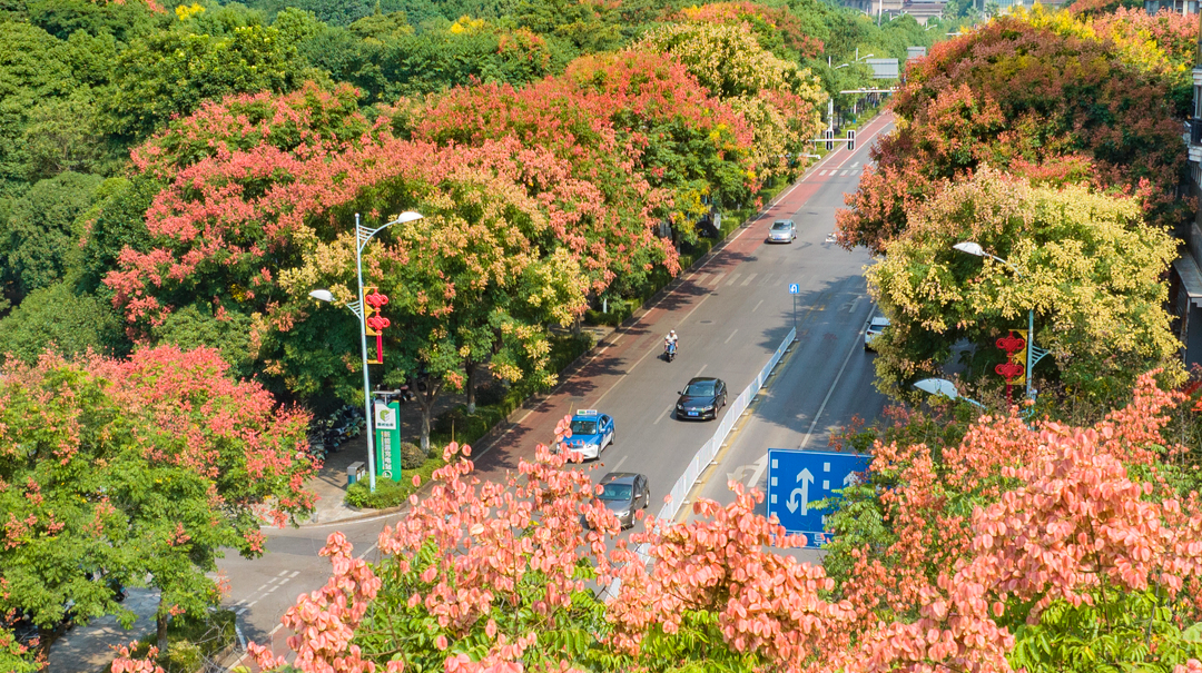 莲城秋韵入画来