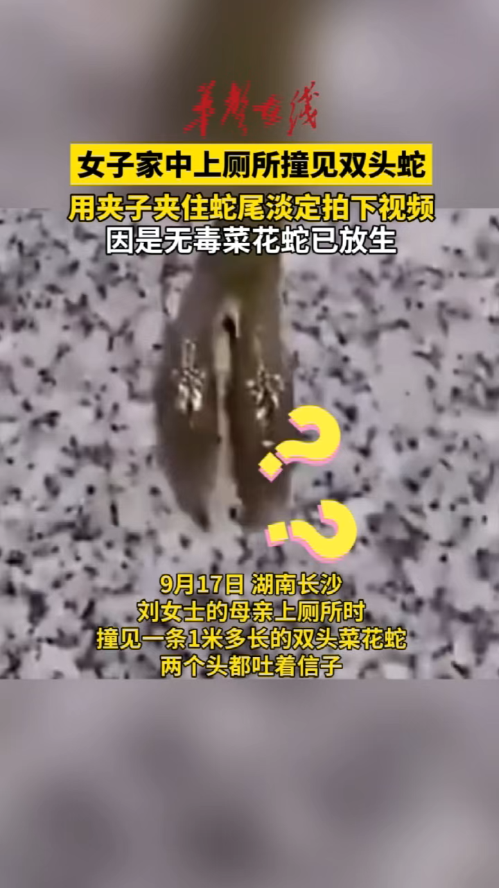 女子家中上厕所撞见双头蛇