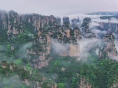 张家界飞出的歌