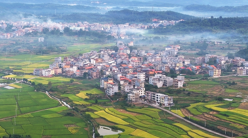 秋日乡村“丰”景美