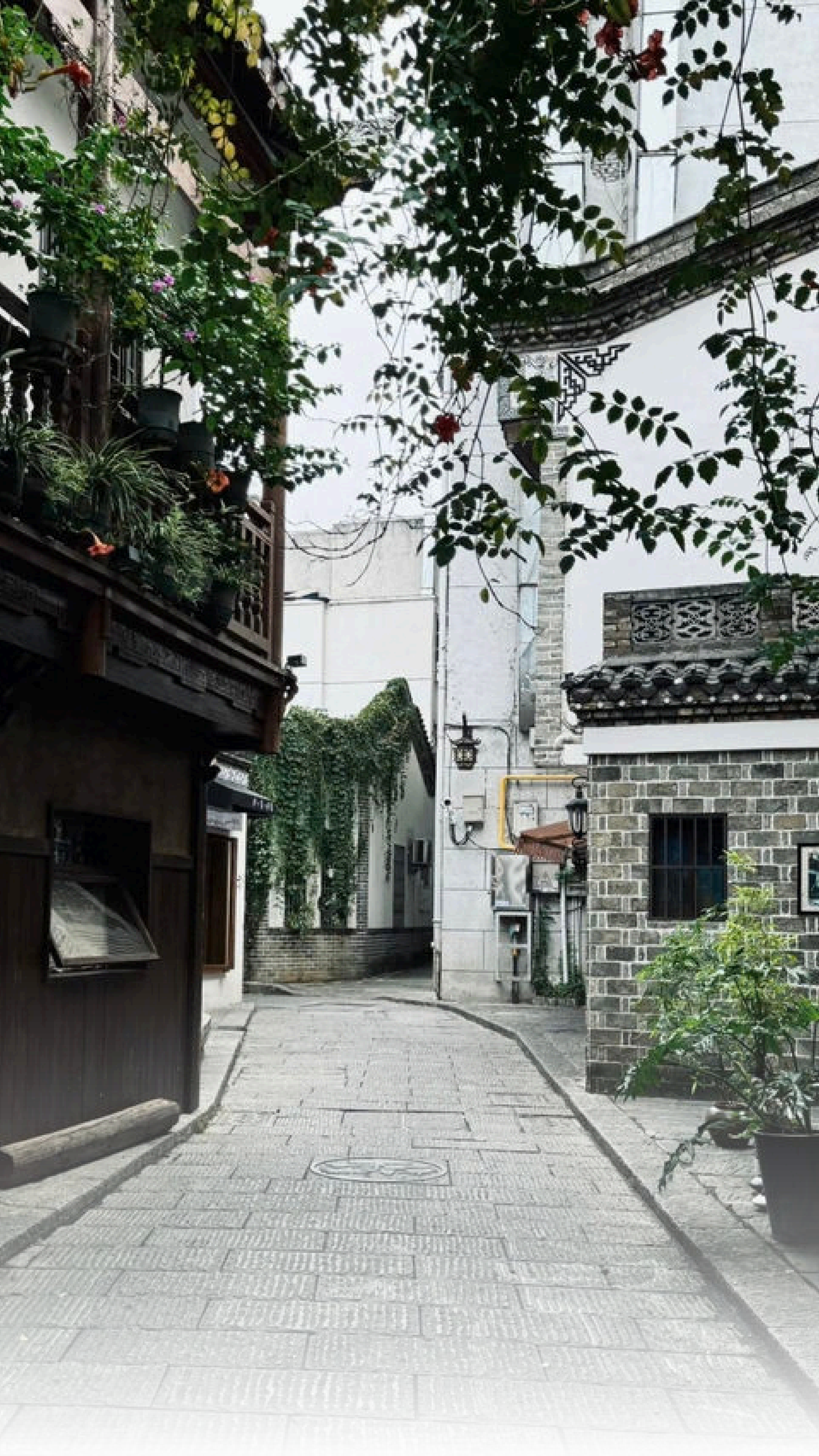 “湘”遇Citywalk⑤ | 白果园藏了张“穿越地图”，湖南师大带你苏家巷寻古