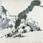 纸上游山，遇见八大——观八大山人诞辰400周年特展絮语