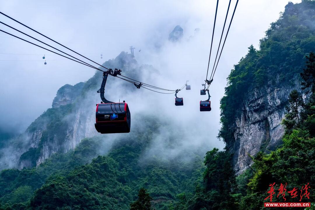 事关索道调整！张家界天门山发布最新通告