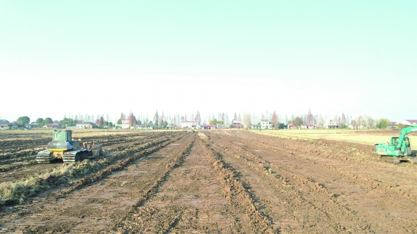清风沃野写担当——安乡县高标准农田建设突出问题集中整治工作纪实