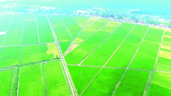 清风沃野写担当——安乡县高标准农田建设突出问题集中整治工作纪实