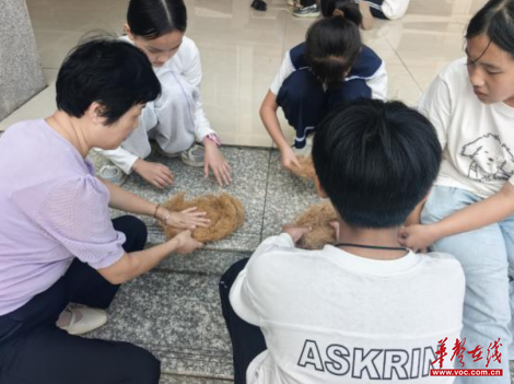 给鸟儿一个温暖的家 李达中学开展生物社团“爱鸟护鸟”人工鸟巢安放活动