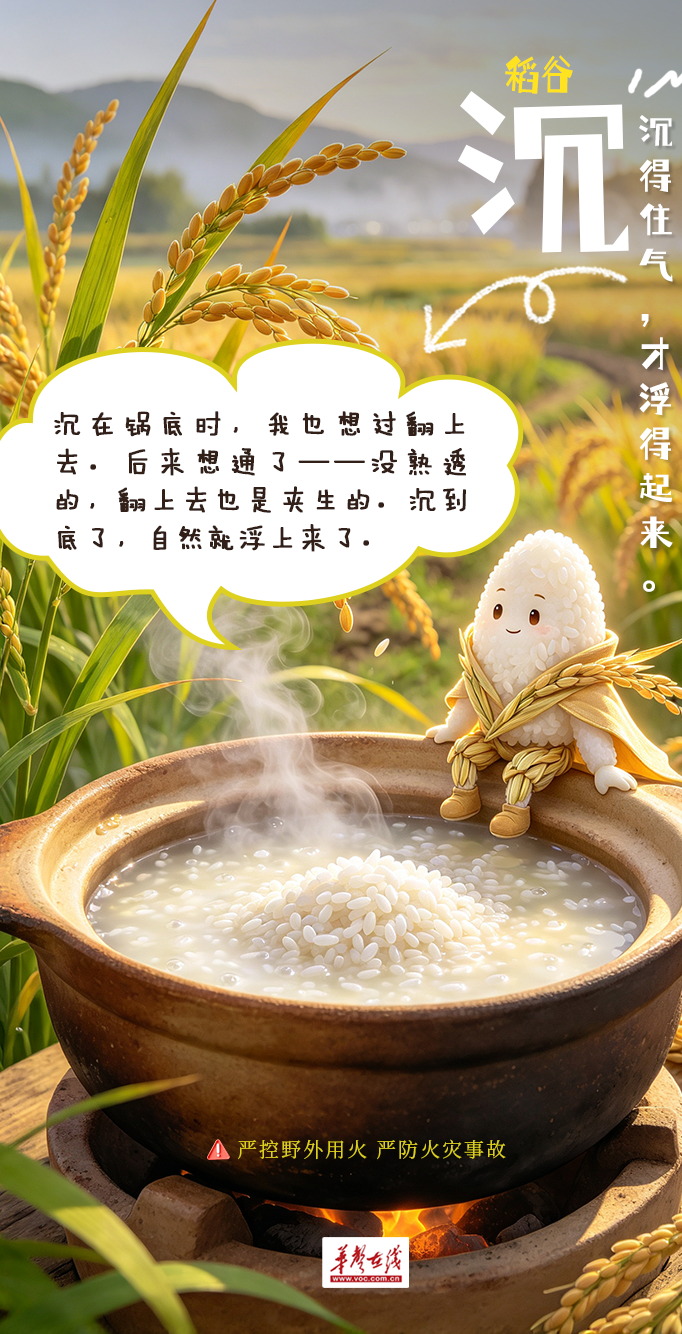 【AI海报】粮食教会我们的事