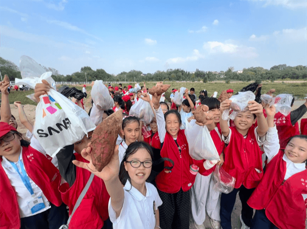荷塘区美的学校：田间课堂“薯”香浓 劳动实践助成长