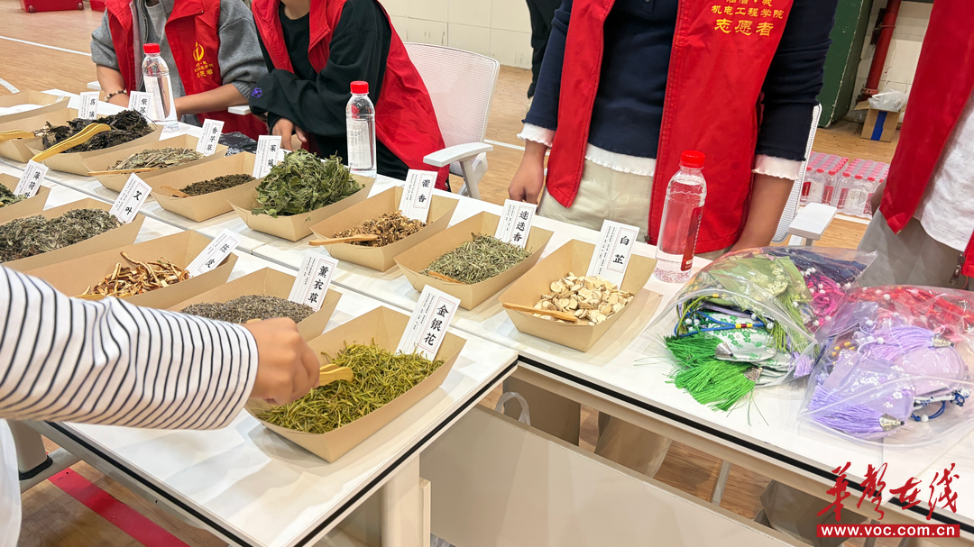湖南信息职院：秋遇重阳进校园 巧手寄情传孝善