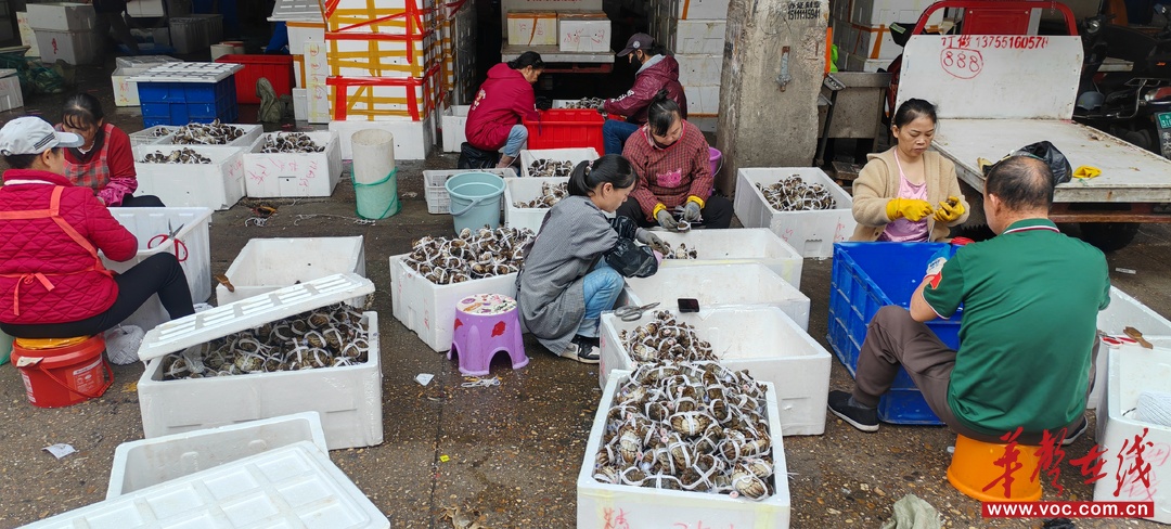 大闸蟹价格“冰火两重天”：普通蟹降幅约三成，精品蟹依然坚挺