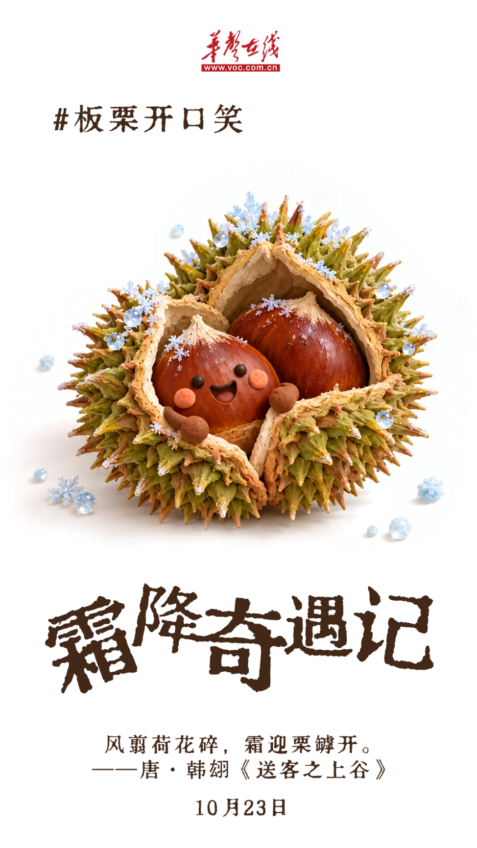 韵味节气⑳ | 霜降奇遇记！秋天的最后一场热闹来啦