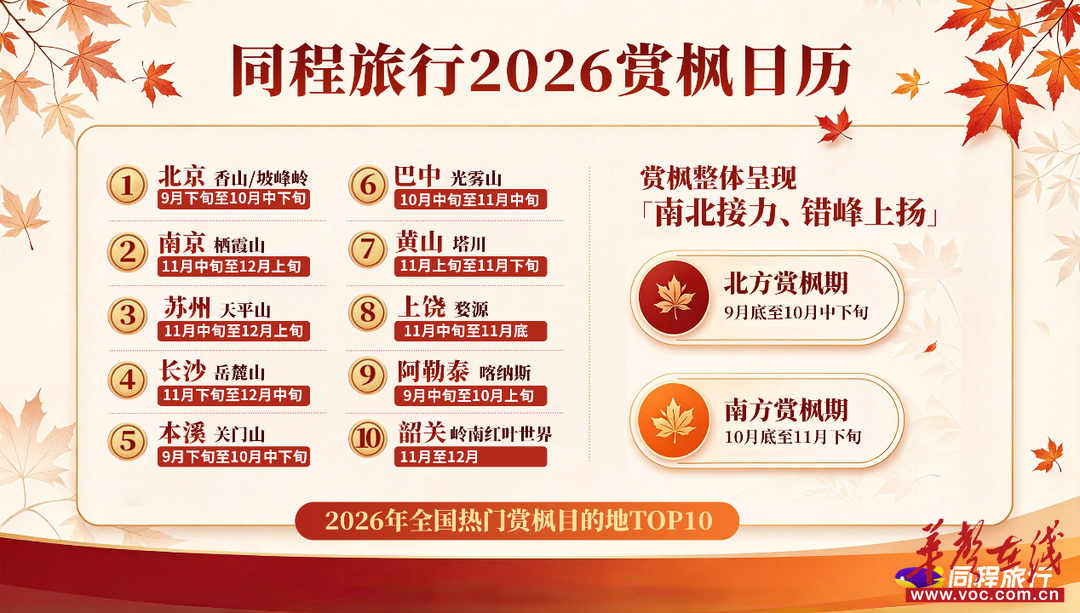 赏枫不必赶早！岳麓山红叶11月份压轴登场