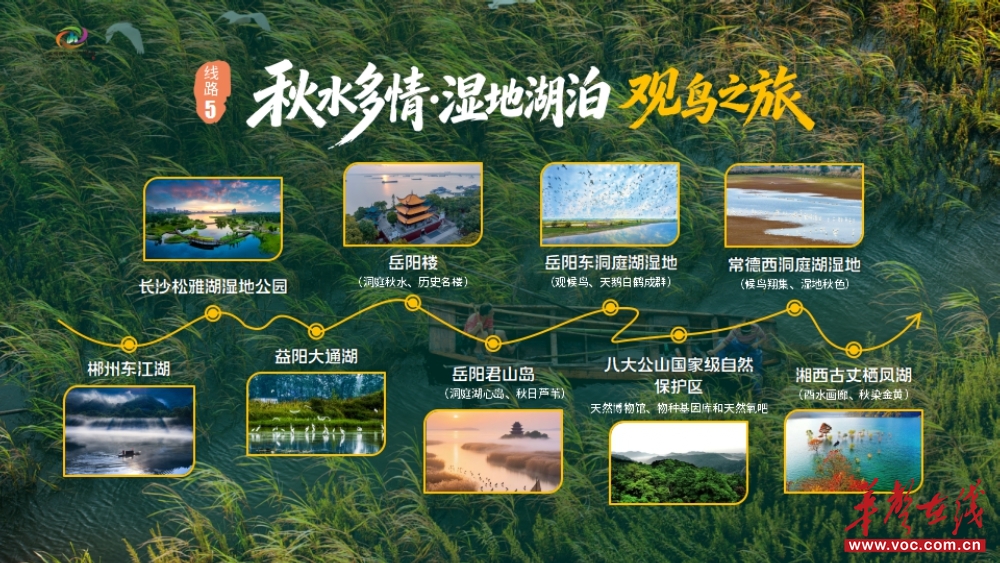 湖南秋天怎么玩?十条秋游线路出炉,还有消费券可领