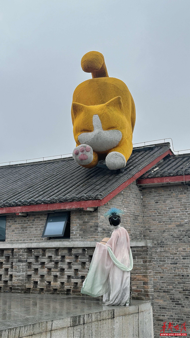 湖湘citywalk | 汉服与老街有多搭?跟着博主打卡洞庭南路